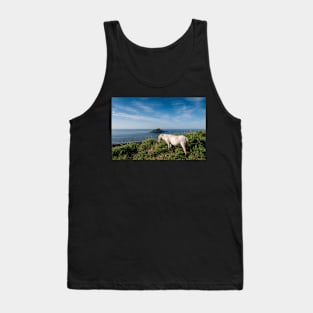 Mewstone Island and Dartmoor Pony Tank Top